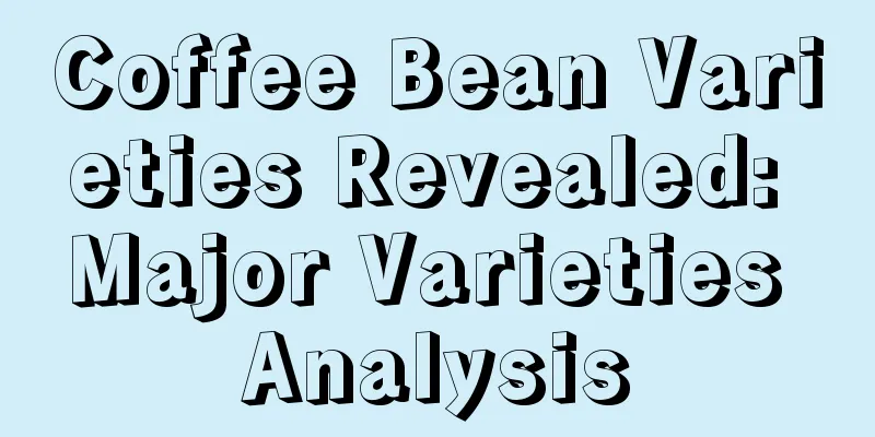 Coffee Bean Varieties Revealed: Major Varieties Analysis