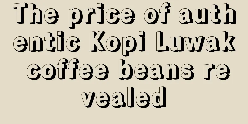 The price of authentic Kopi Luwak coffee beans revealed