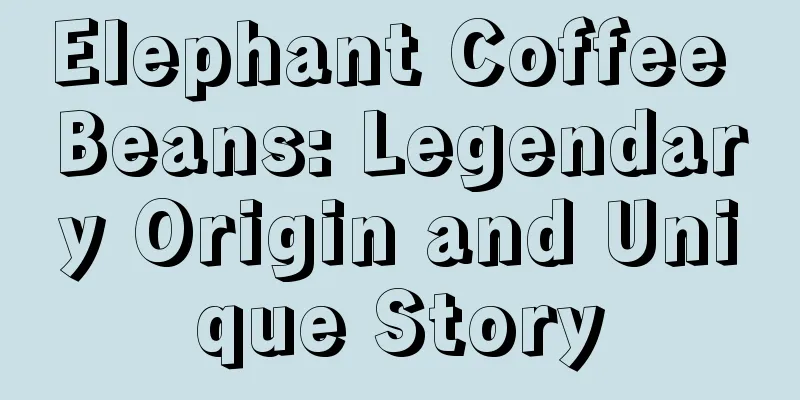 Elephant Coffee Beans: Legendary Origin and Unique Story