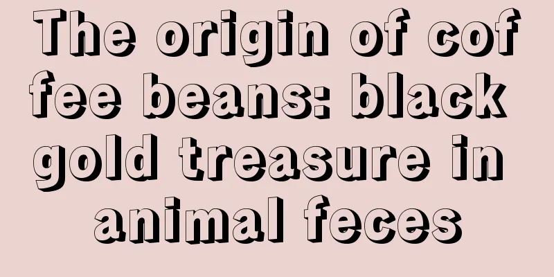 The origin of coffee beans: black gold treasure in animal feces