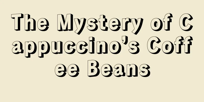 The Mystery of Cappuccino’s Coffee Beans