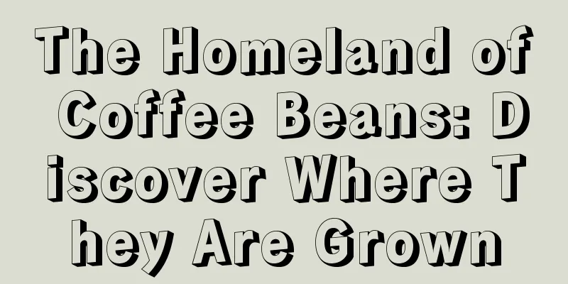 The Homeland of Coffee Beans: Discover Where They Are Grown