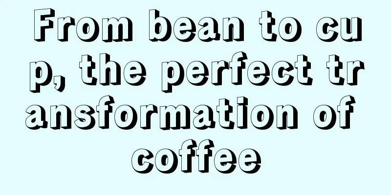 From bean to cup, the perfect transformation of coffee