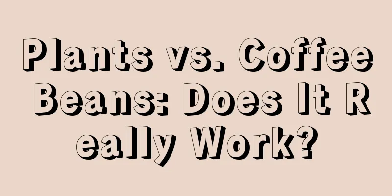 Plants vs. Coffee Beans: Does It Really Work?