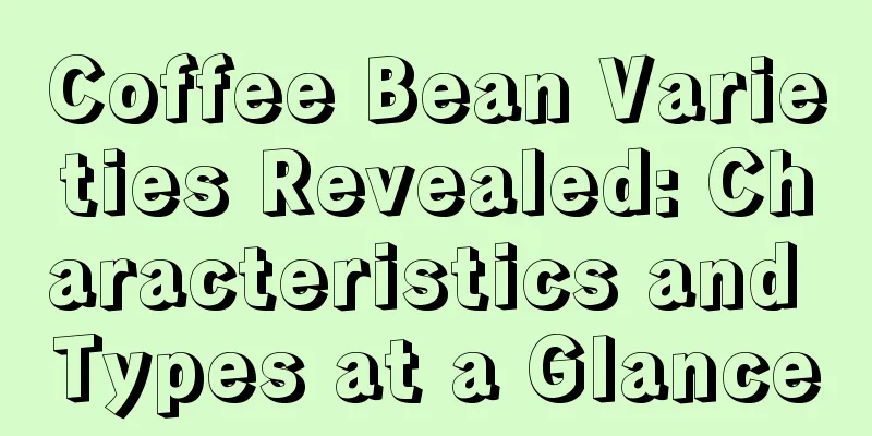 Coffee Bean Varieties Revealed: Characteristics and Types at a Glance