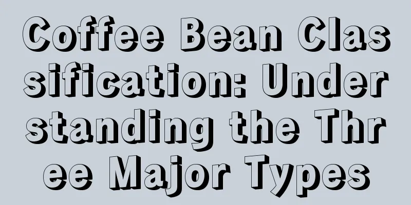 Coffee Bean Classification: Understanding the Three Major Types