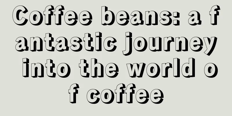 Coffee beans: a fantastic journey into the world of coffee