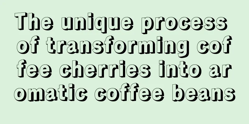 The unique process of transforming coffee cherries into aromatic coffee beans