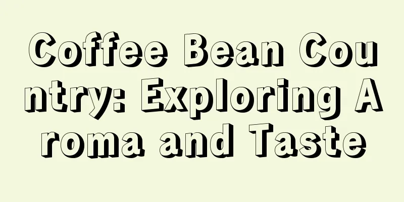 Coffee Bean Country: Exploring Aroma and Taste