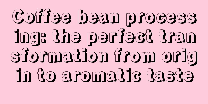 Coffee bean processing: the perfect transformation from origin to aromatic taste