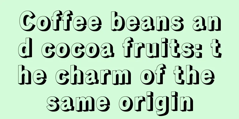 Coffee beans and cocoa fruits: the charm of the same origin