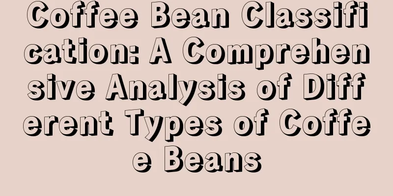 Coffee Bean Classification: A Comprehensive Analysis of Different Types of Coffee Beans