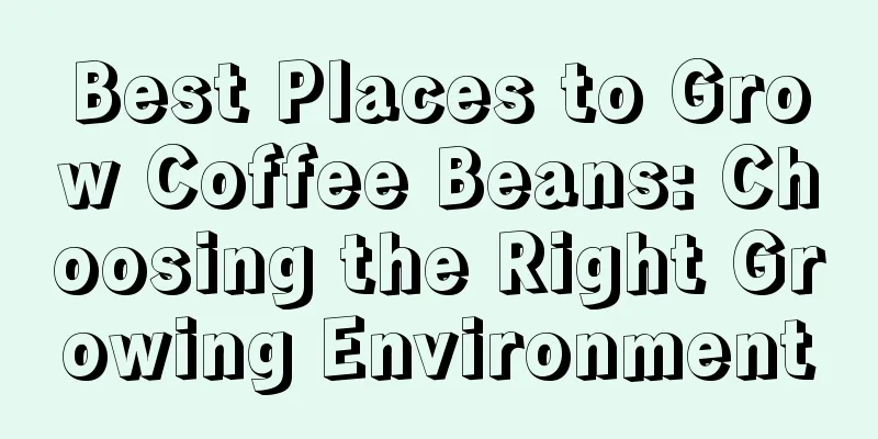 Best Places to Grow Coffee Beans: Choosing the Right Growing Environment