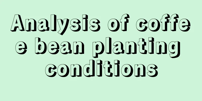 Analysis of coffee bean planting conditions