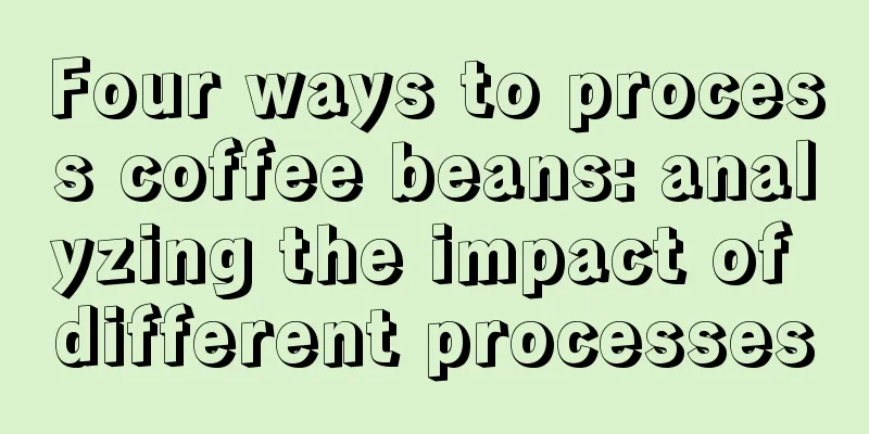 Four ways to process coffee beans: analyzing the impact of different processes