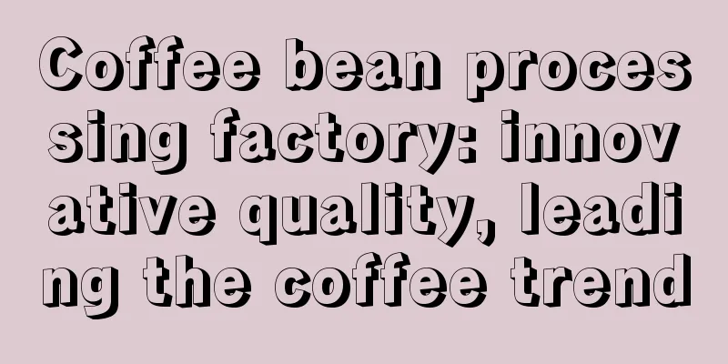 Coffee bean processing factory: innovative quality, leading the coffee trend