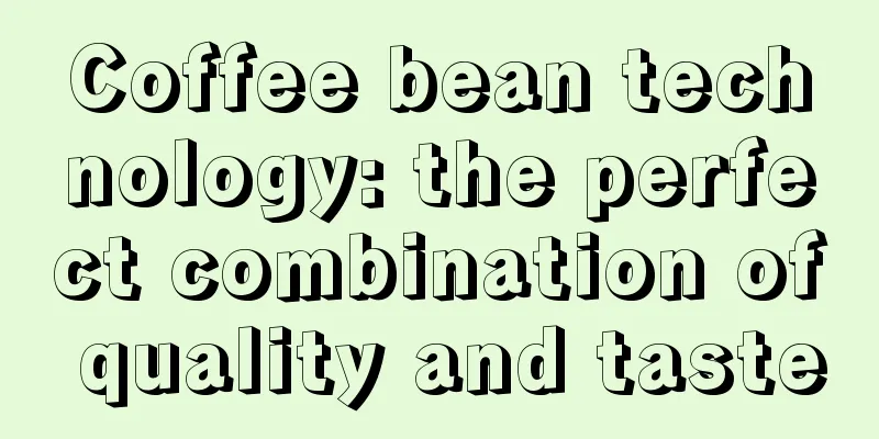 Coffee bean technology: the perfect combination of quality and taste