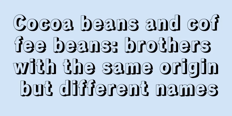 Cocoa beans and coffee beans: brothers with the same origin but different names