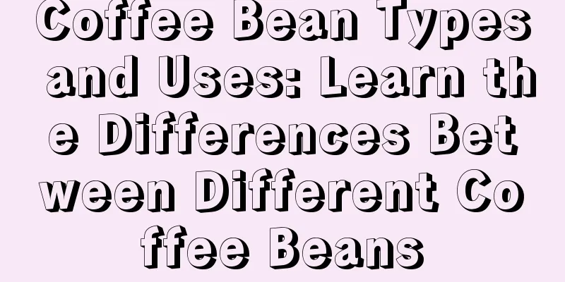 Coffee Bean Types and Uses: Learn the Differences Between Different Coffee Beans