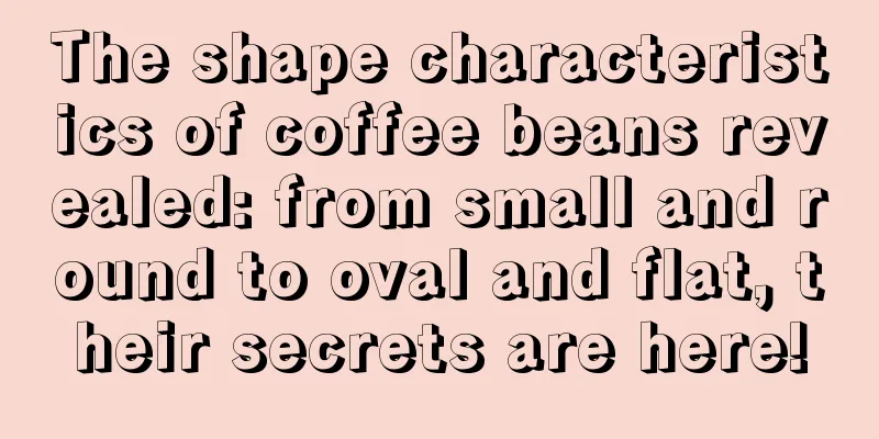 The shape characteristics of coffee beans revealed: from small and round to oval and flat, their secrets are here!