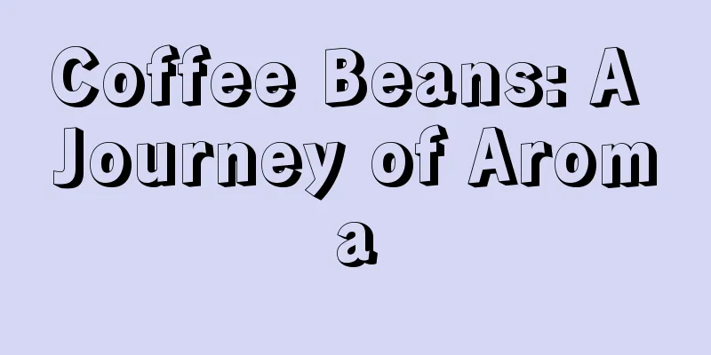 Coffee Beans: A Journey of Aroma