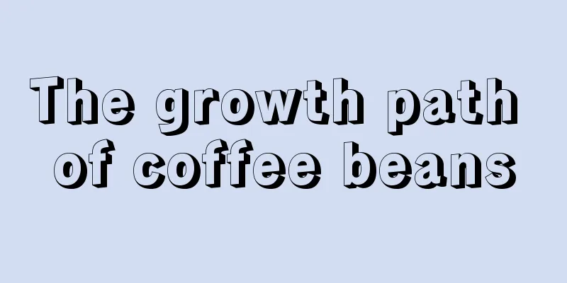 The growth path of coffee beans