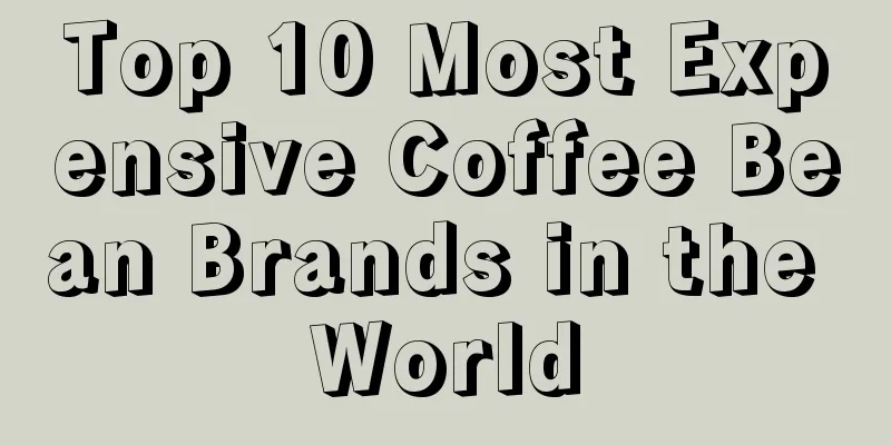 Top 10 Most Expensive Coffee Bean Brands in the World