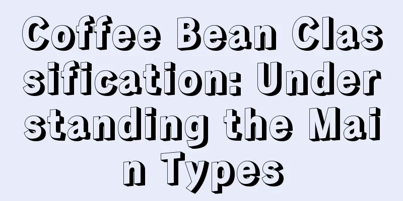 Coffee Bean Classification: Understanding the Main Types