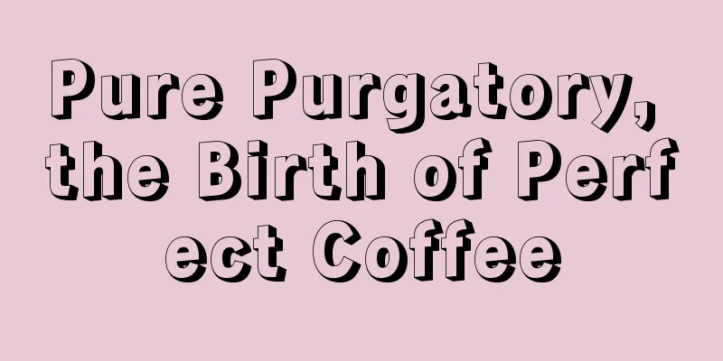 Pure Purgatory, the Birth of Perfect Coffee