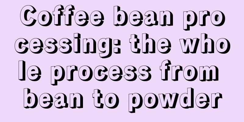 Coffee bean processing: the whole process from bean to powder