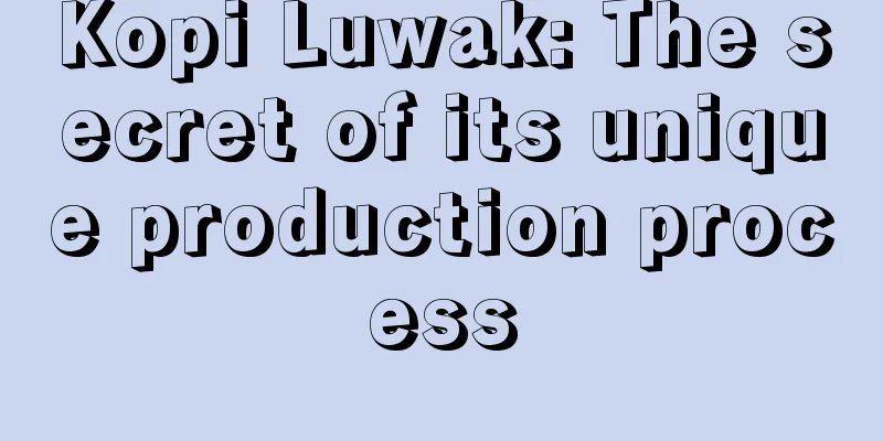 Kopi Luwak: The secret of its unique production process