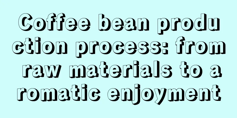 Coffee bean production process: from raw materials to aromatic enjoyment