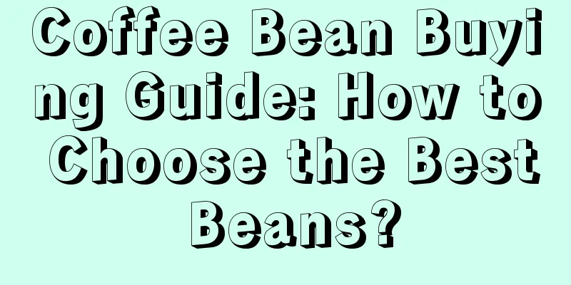 Coffee Bean Buying Guide: How to Choose the Best Beans?