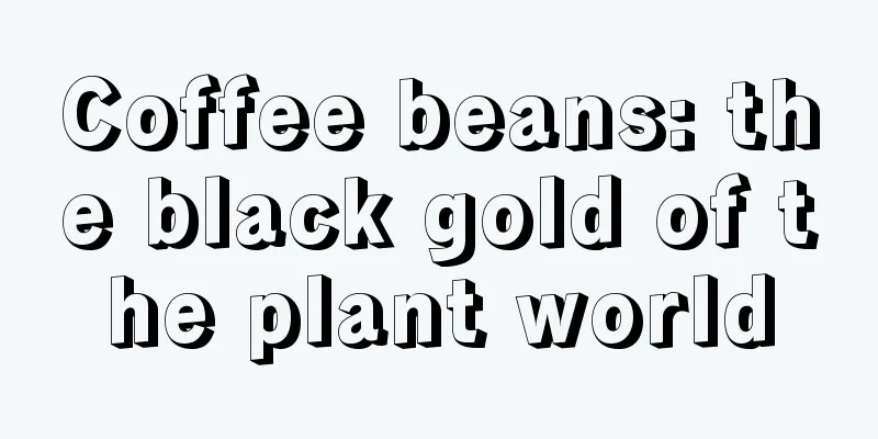 Coffee beans: the black gold of the plant world