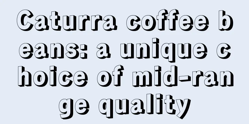 Caturra coffee beans: a unique choice of mid-range quality