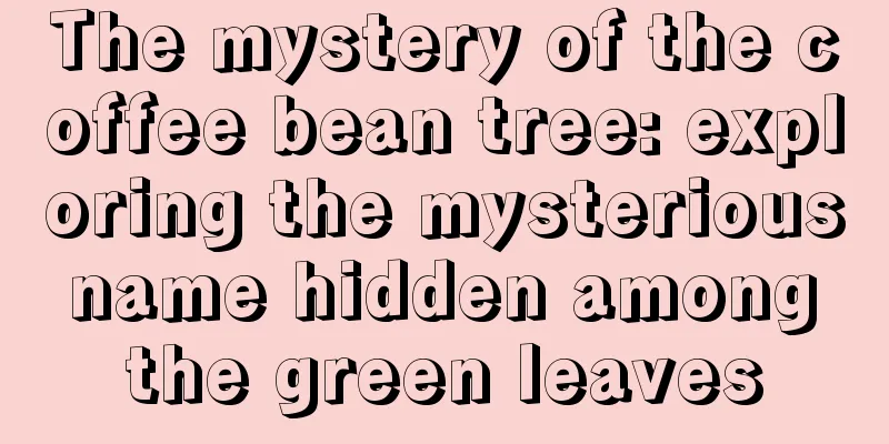 The mystery of the coffee bean tree: exploring the mysterious name hidden among the green leaves