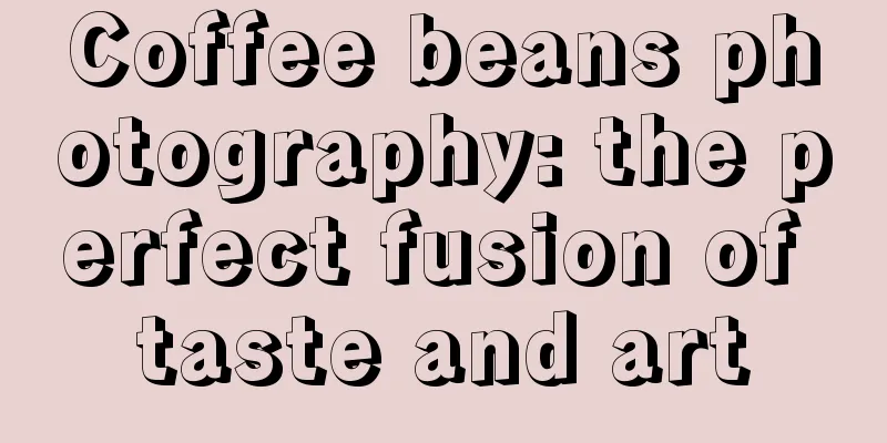 Coffee beans photography: the perfect fusion of taste and art