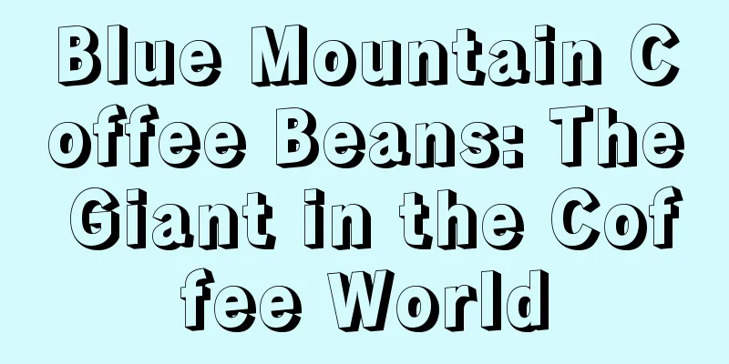 Blue Mountain Coffee Beans: The Giant in the Coffee World