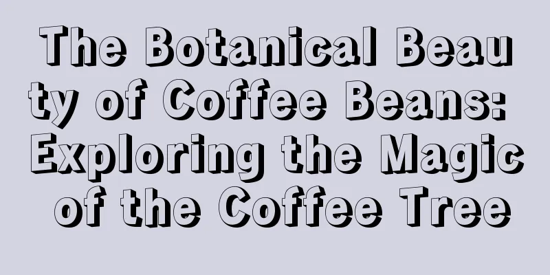 The Botanical Beauty of Coffee Beans: Exploring the Magic of the Coffee Tree