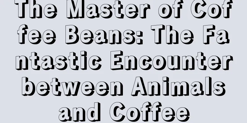 The Master of Coffee Beans: The Fantastic Encounter between Animals and Coffee