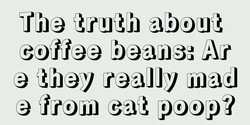 The truth about coffee beans: Are they really made from cat poop?