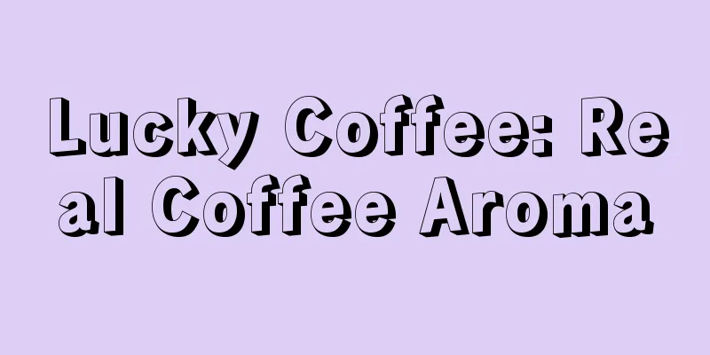 Lucky Coffee: Real Coffee Aroma