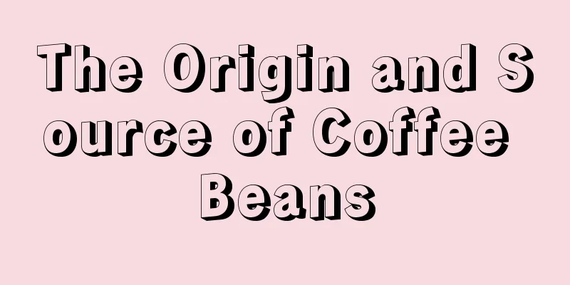 The Origin and Source of Coffee Beans