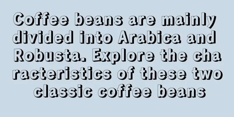 Coffee beans are mainly divided into Arabica and Robusta. Explore the characteristics of these two classic coffee beans