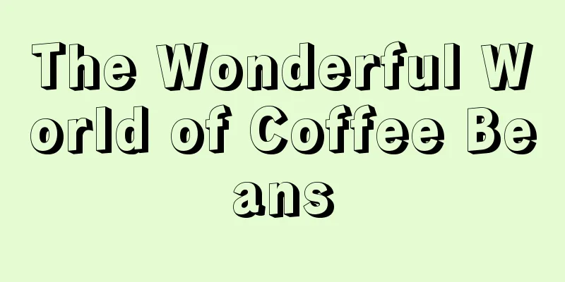 The Wonderful World of Coffee Beans