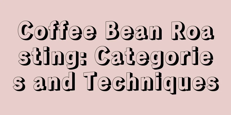 Coffee Bean Roasting: Categories and Techniques