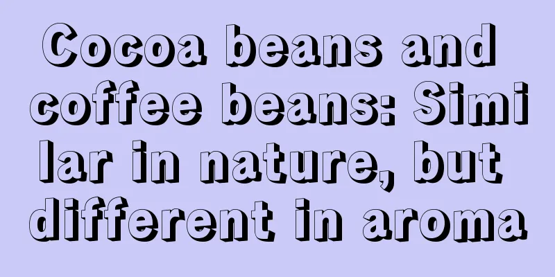 Cocoa beans and coffee beans: Similar in nature, but different in aroma