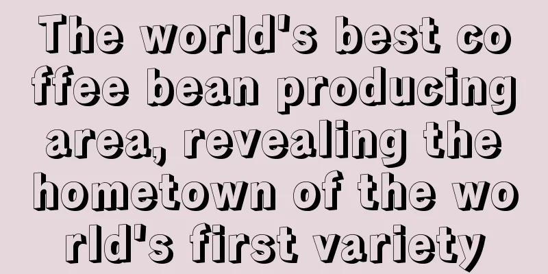 The world's best coffee bean producing area, revealing the hometown of the world's first variety