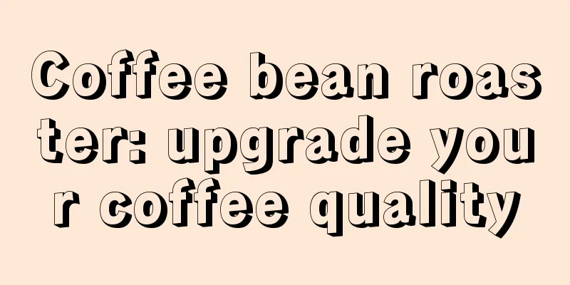 Coffee bean roaster: upgrade your coffee quality