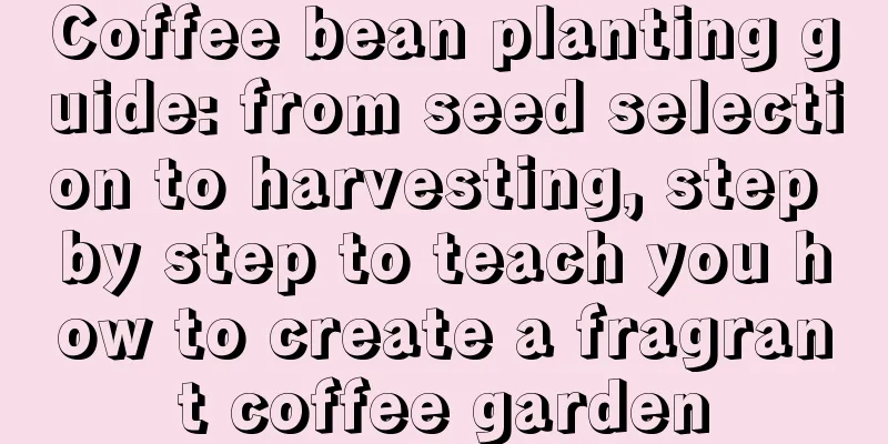 Coffee bean planting guide: from seed selection to harvesting, step by step to teach you how to create a fragrant coffee garden